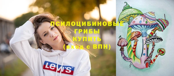 амф Алексин