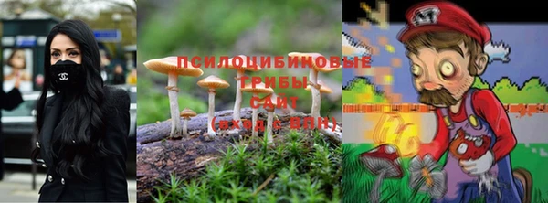 амф Алексин