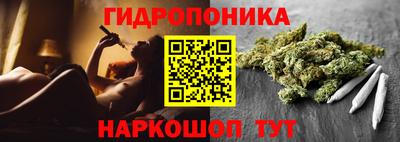 гидра Рыбинск