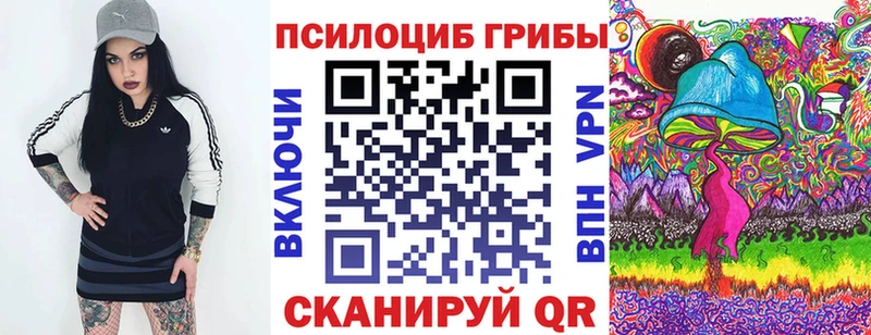 Псилоцибиновые грибы Cubensis  где купить   Курск 